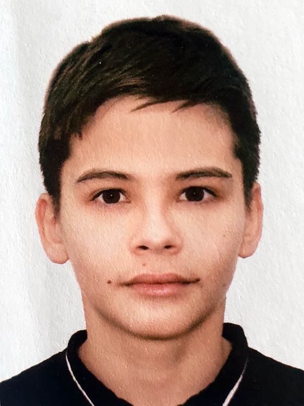 Tolengit, Arman